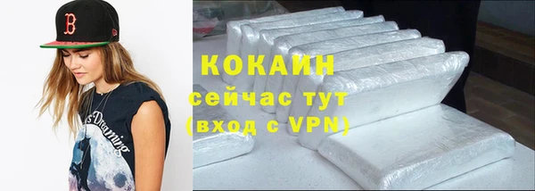 ешки Горняк