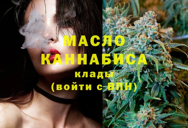 ешки Горняк