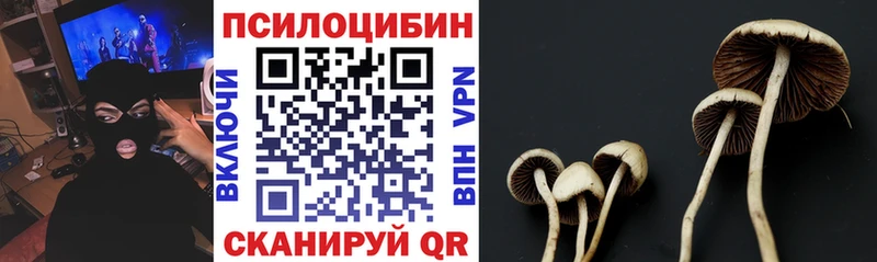 Псилоцибиновые грибы прущие грибы  даркнет сайт  Приволжский 